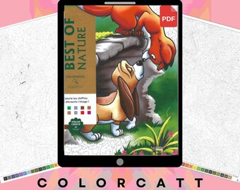 Best of Nature Mystery Coloring Book PDF, 100 Paint by Number Pages, Woodland Animals Forest Landscapes, Instant Download Bundle