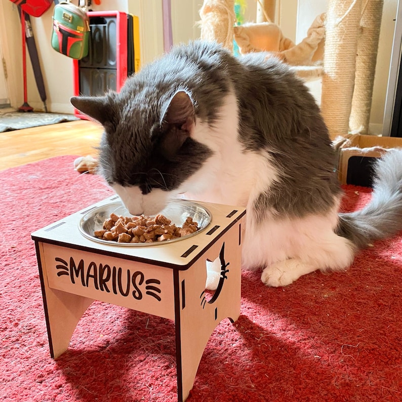 May include: A gray and white cat eats from a raised wooden pet food bowl. The bowl is light brown and has the name "Marius" engraved on the front. The bowl is raised on four legs.