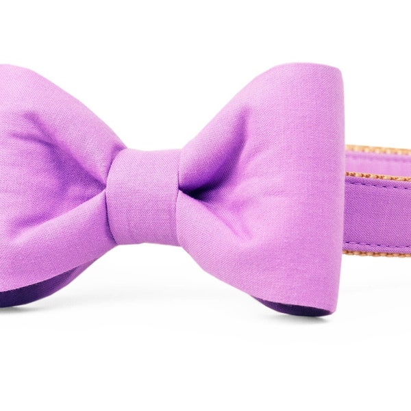 Crew LaLa Wisteria Purple Bow Tie Dog Collar