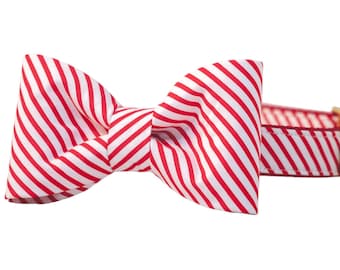 Crew LaLa Candy Cane Bow Tie Dog Collar