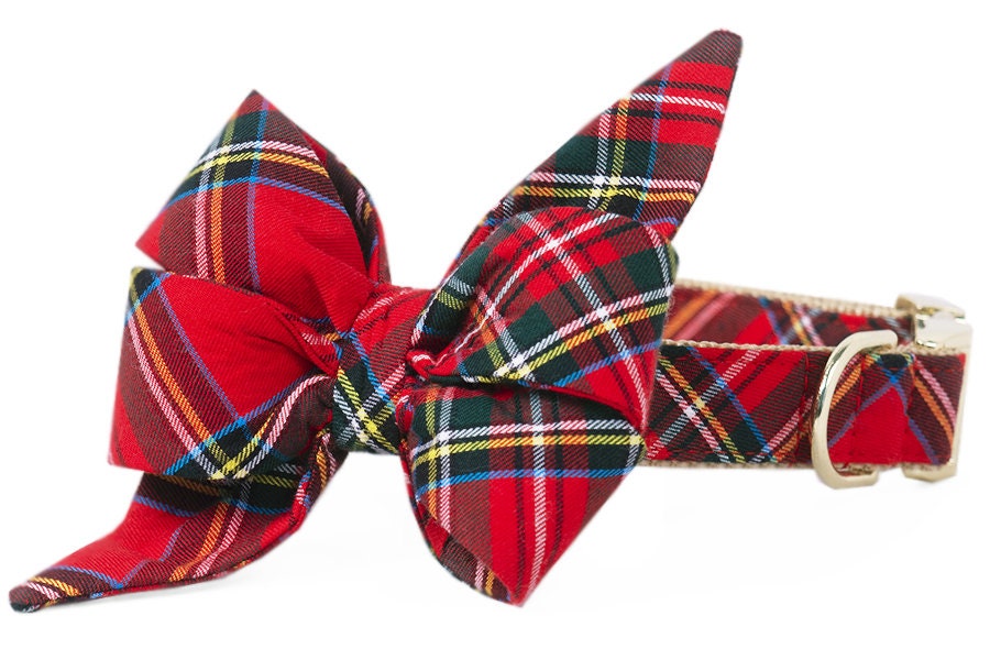 Équipage Lala™ Scottish Tartan Belle Bow Collier Pour Chien