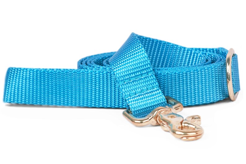 Crew LaLa Ice Blue Naked Webbing Dog Leash image 1