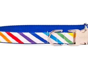 Crew LaLa Proud Rainbow on Blue Dog Collar