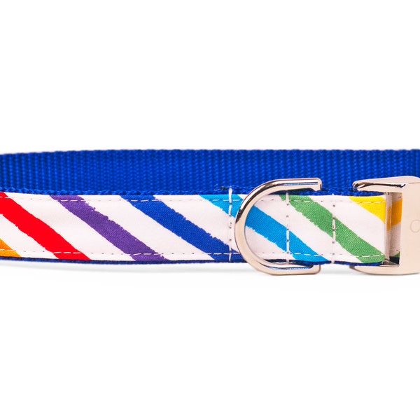 Crew LaLa Proud Rainbow on Blue Dog Collar