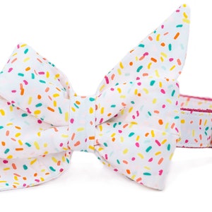 Crew LaLa Birthday Sprinkles Belle Bow Dog Collar