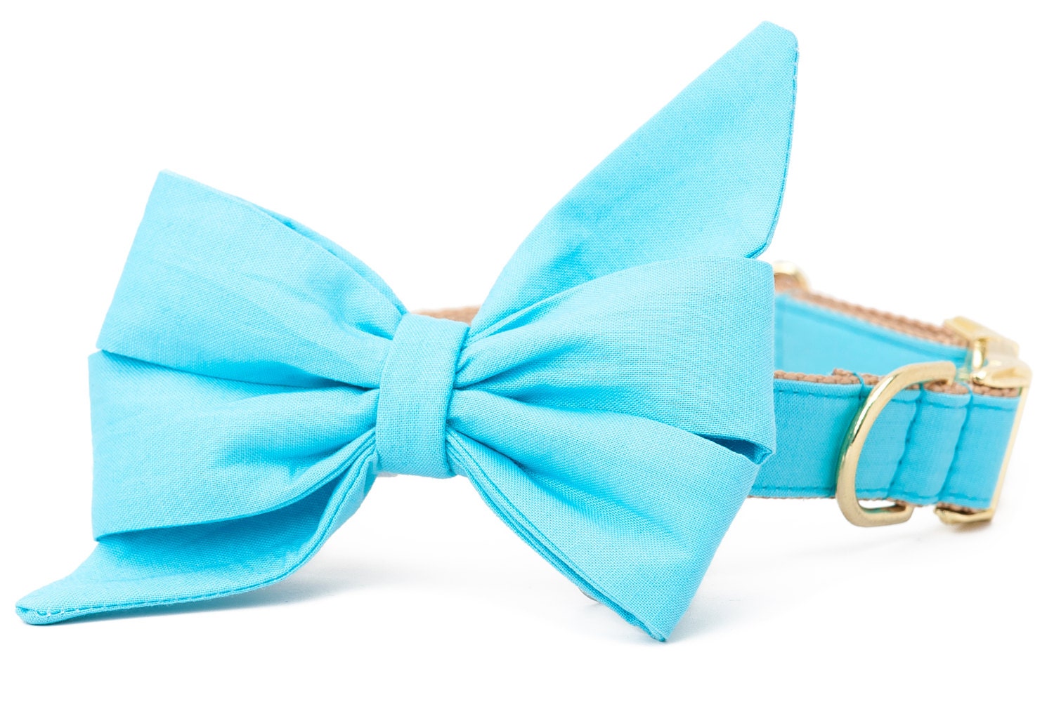 Équipage Lala™ Bahama Blue Belle Bow Collier Pour Chien