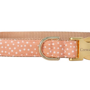 Crew LaLa Sorbet Flecken Hundehalsband
