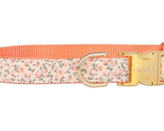 Crew LaLa Canterbury Belle Dog Collar