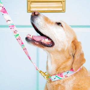 Crew LaLa Custom Matching Leash - You Choose The Pattern