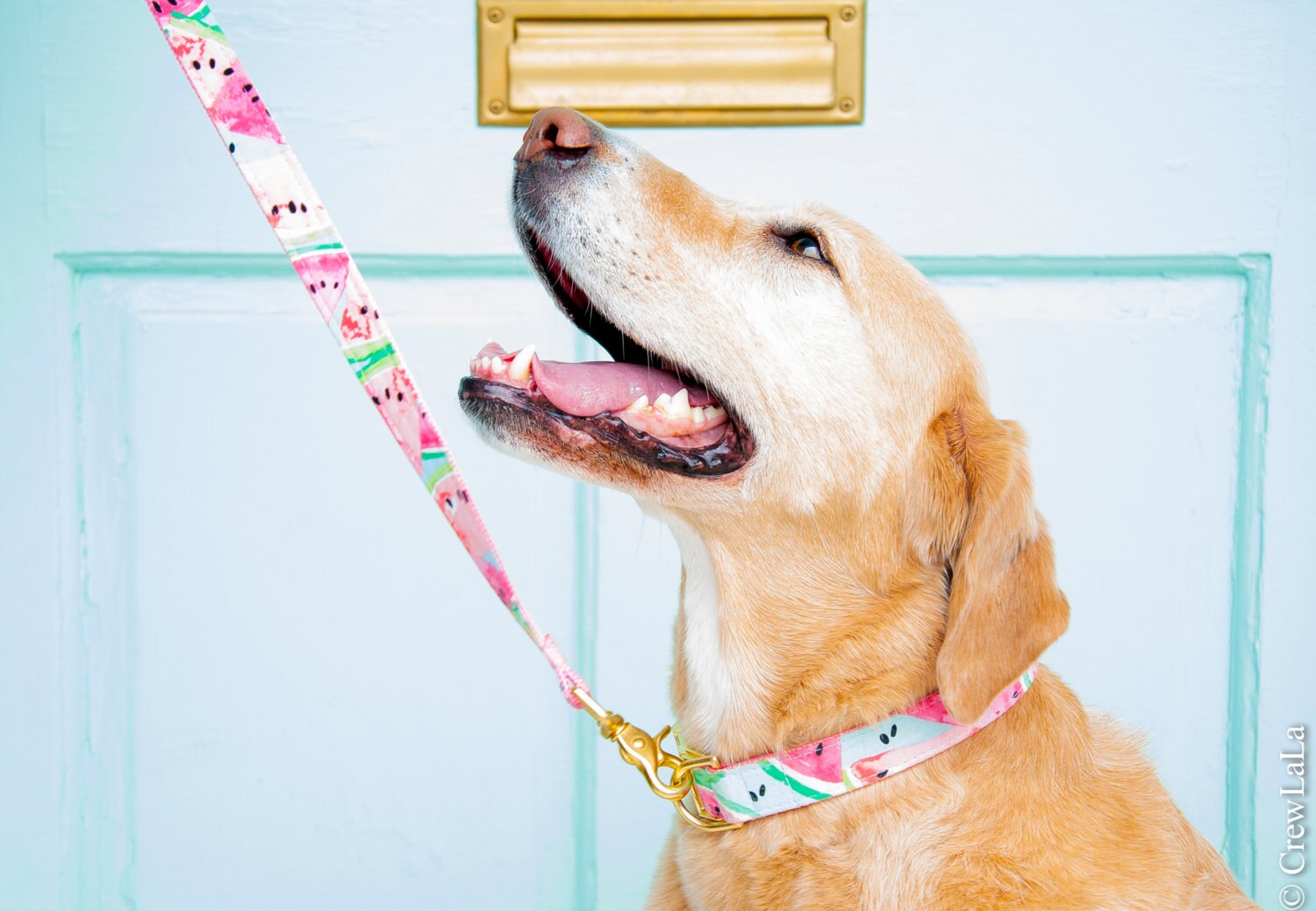 Crew LaLa Custom Matching Leash - You Choose The Pattern
