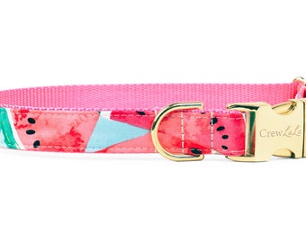 Crew LaLa Watercolor Watermelon Dog Collar