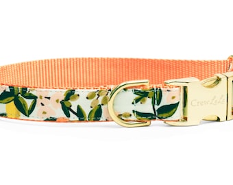 crew lala dog collars