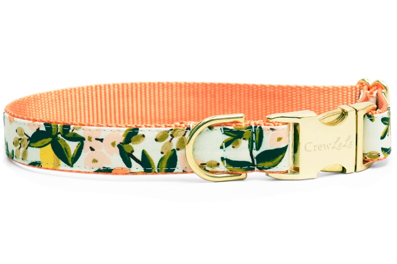 Crew Lala Sweet Clementines Dog Collar Etsy