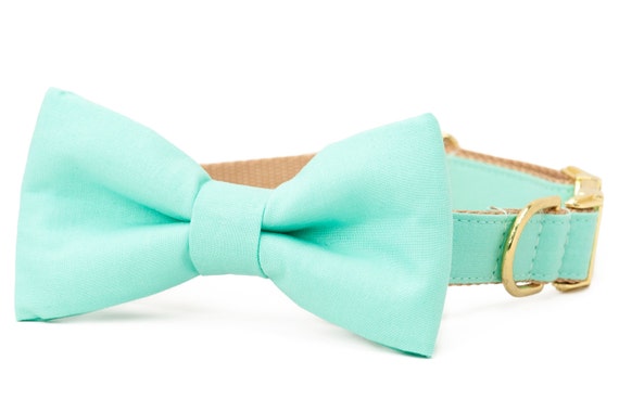 crew lala dog collars