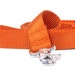 see more listings in the Leashes section