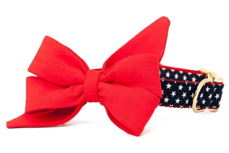 Crew LaLa™ Liberty Belle Bow Dog Collar Etsy
