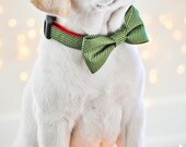 Green Candy Striped Bow Tie or Girl Bow Dog Collar