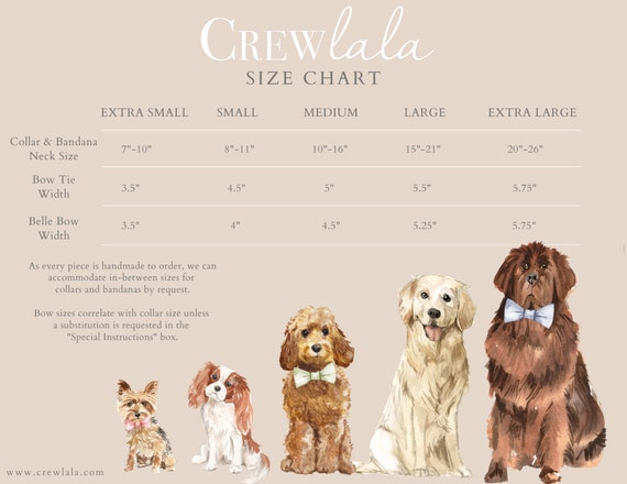 Cockapoo Reference Chart Cockapoo Weight Chart Female
