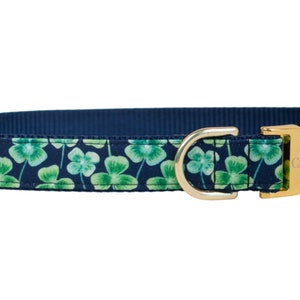 Crew LaLa Lucky Clover Dog Collar image 1