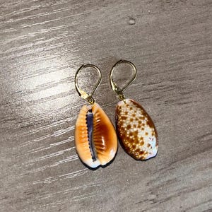 May include: A pair of dangle earrings featuring natural cowrie shells suspended from gold-tone leverback hooks. One shell displays a smooth, tan exterior with a dark brown central opening, while the other shell has a speckled brown and white pattern.