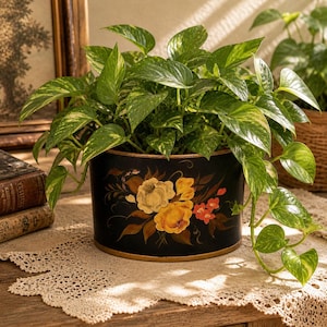 May include: A potted pothos plant with green and yellow leaves. The black planter is decorated with yellow and orange floral designs. The planter sits on a wooden surface with a lace doily.