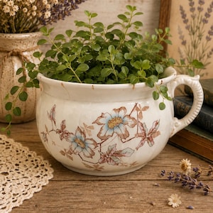May include: A white ceramic chamber pot featuring a decorative floral pattern with light blue and brown petals and leaves. The pot has a single curved handle on the right side and contains a small, leafy green plant with trailing stems.