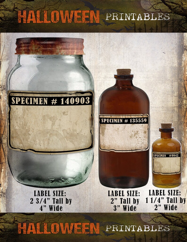 blank specimen labels vintage style with individual
