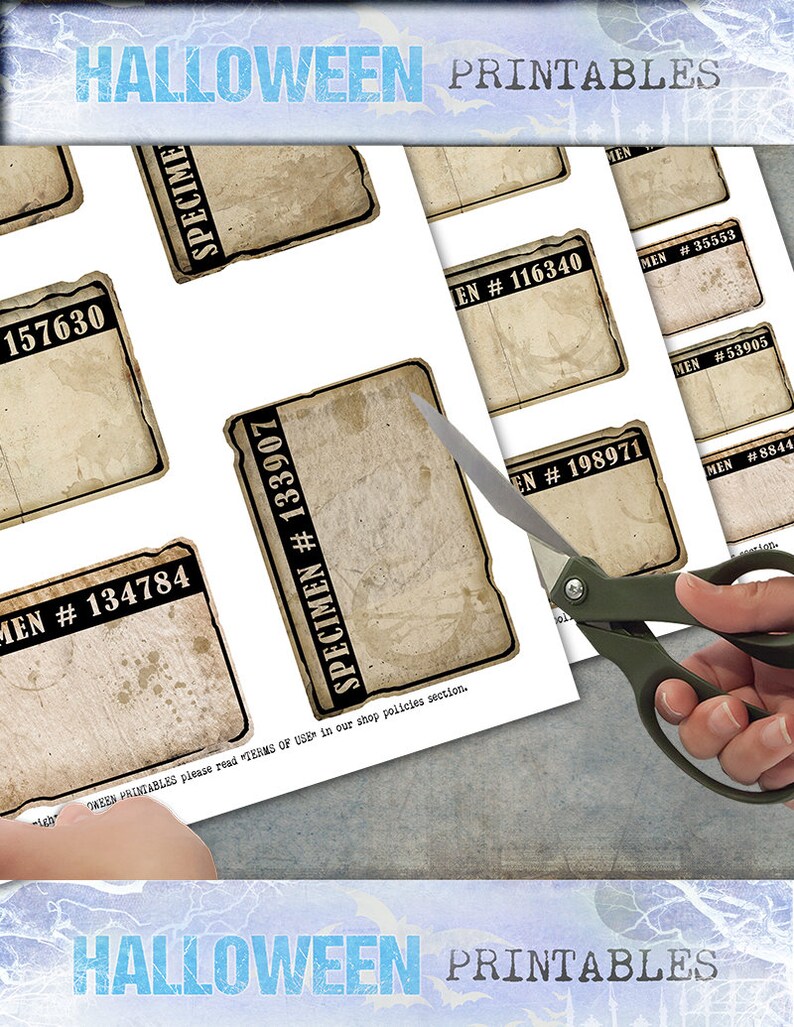 blank specimen labels vintage style with individual