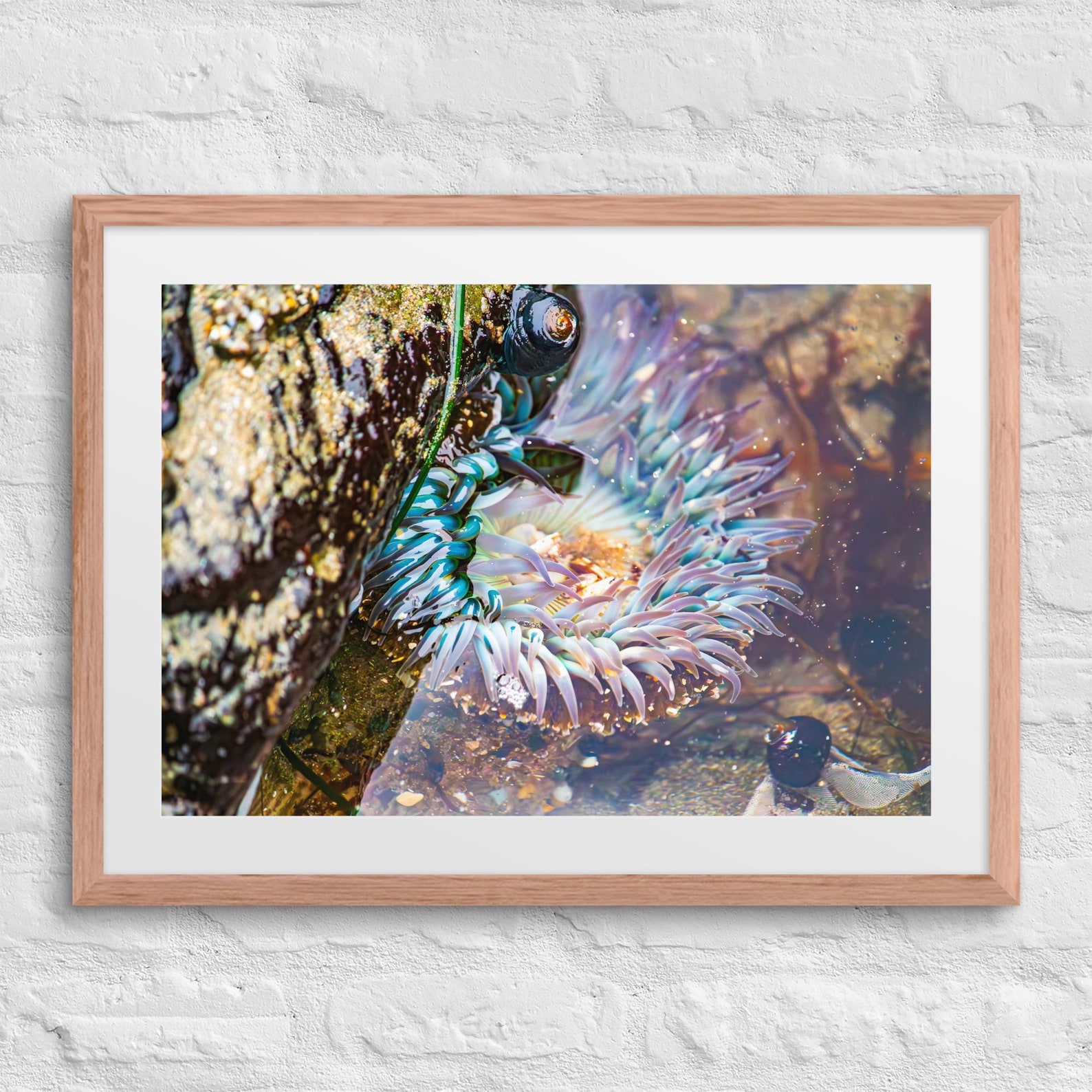 Sample Nature Photography Print