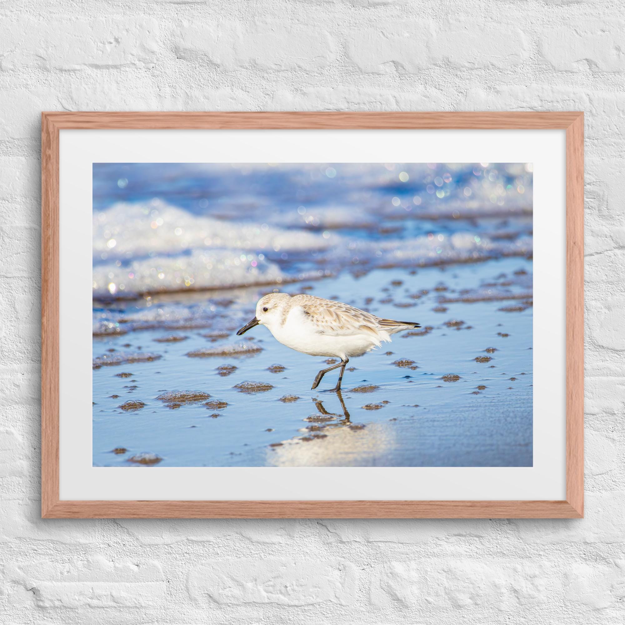 Sample Nature Photography Print
