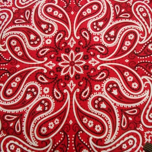 Antieke RED SWIMMING PAISLEY UsA zachte katoenen biker western bandana zakdoek 20&quot;