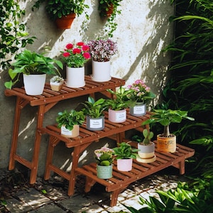Peut inclure: Un présentoir à plantes en bois à trois niveaux avec plusieurs plantes en pot. Le présentoir est en bois brun foncé et présente un design à lattes. Diverses plantes avec un feuillage vert et des fleurs colorées sont exposées.