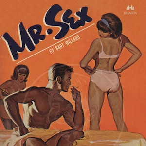Mr. Sex 10x16 Giclée Canvas Print of a Vintage Pulp Paperback Cover image 1