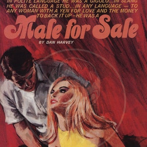 Male for Sale - 10x17 Giclée Canvas Print of a Vintage Pulp Paperback Cover