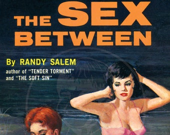 The Sex Between - 10x17 Giclée Canvas Print of a Vintage Pulp Paperback