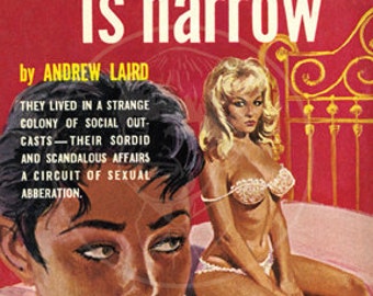 Every Bed Is Narrow - 10x15 Giclée Canvas Print of Lesbian Pulp Paperback