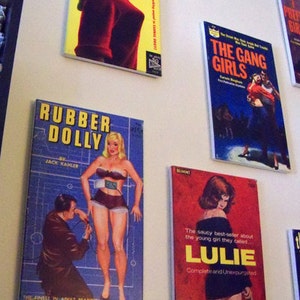 May include: A wall display of vintage paperback books with titles like "WENCH!" "Rubber Dolly" "The Gang Girls" and "LULIE". The covers feature illustrations of women in various poses.