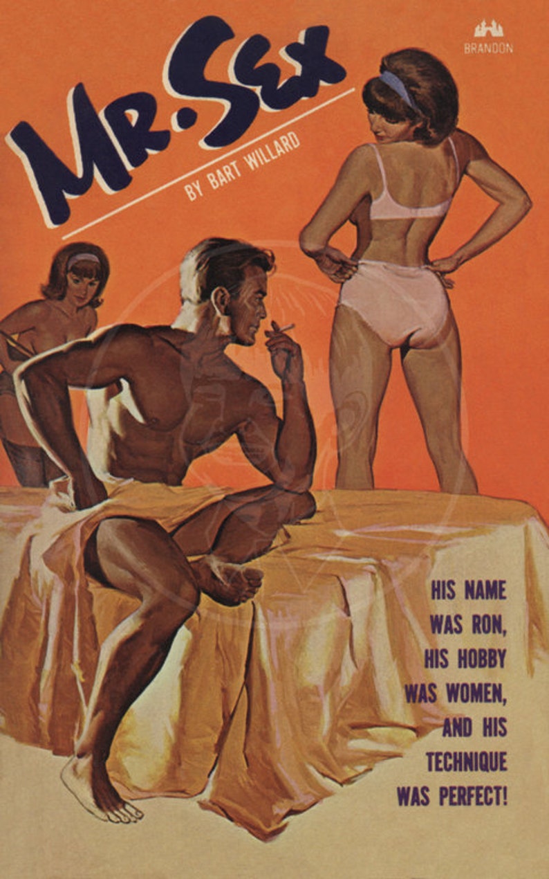 Mr. Sex 10x16 Giclée Canvas Print of a Vintage Pulp Paperback Cover image 1