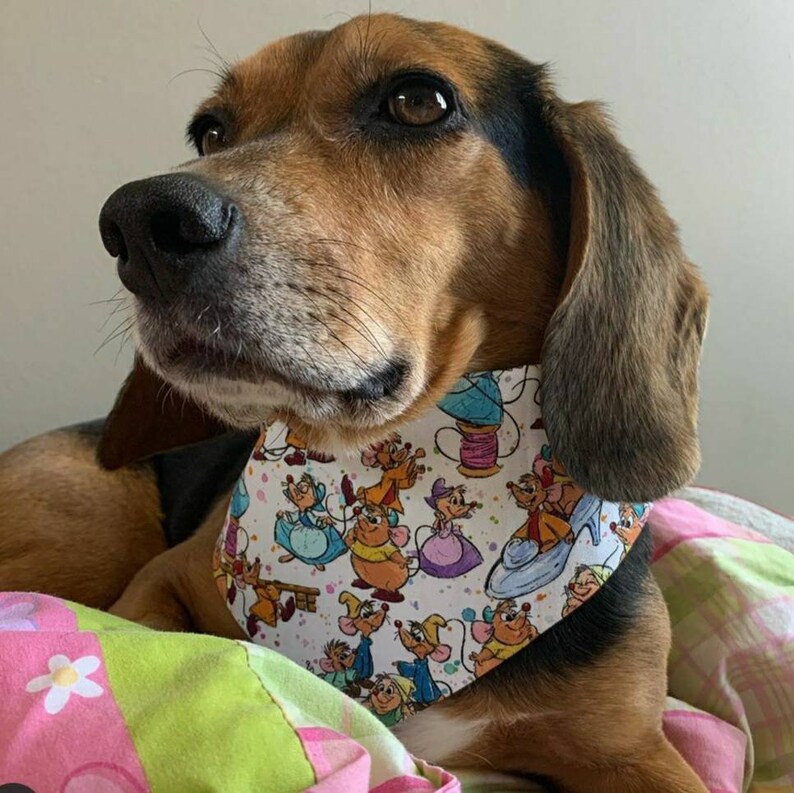 Dog Bandana Disney Dog Cinderella Mice Pet Bandana Reversible Snap Close or Over the Collar