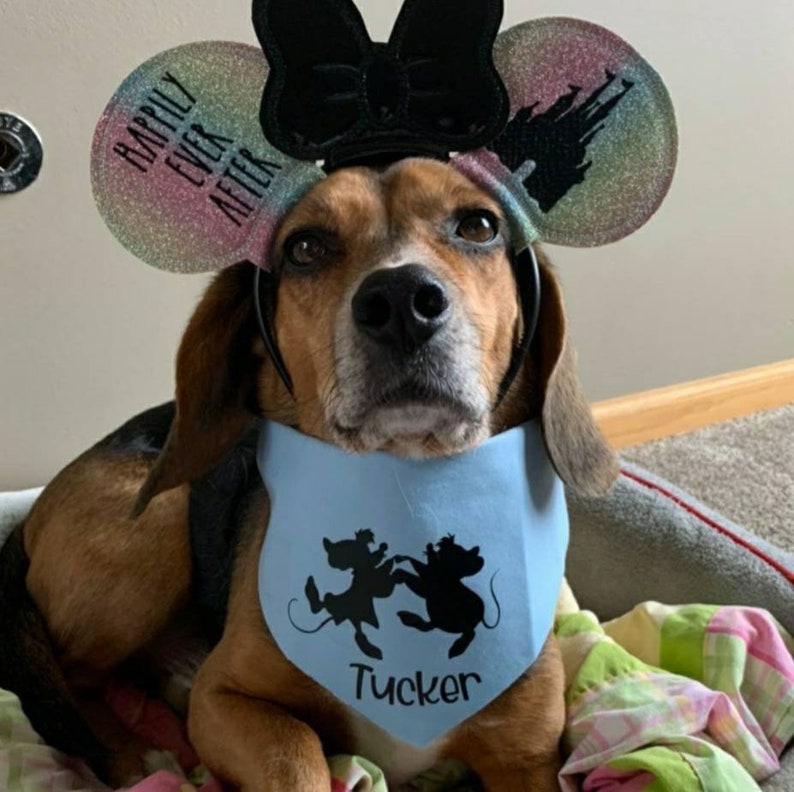 Dog Bandana Disney Dog Cinderella Mice Pet Bandana Reversible Snap Close or Over the Collar