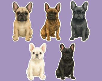 French Bulldog Sticker | Waterproof Stickers | Frenchie | Gift