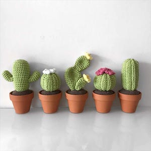 May include: Five handmade crochet cactus plants in terracotta pots. The cacti are various shapes and sizes, with green bodies and brown bases. Some have white or pink flower accents. The pots are evenly spaced against a white background.