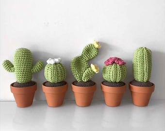 日本語で作る、ユニークなサボテンと多肉植物のかぎ針編みパターン22選