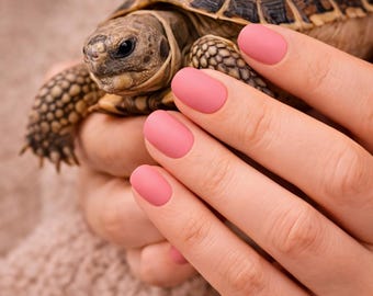 Matte- Gloss Finish Pink Nail Wraps - 20-teiliges Set, keine UV-Lampe erforderlich (UK)