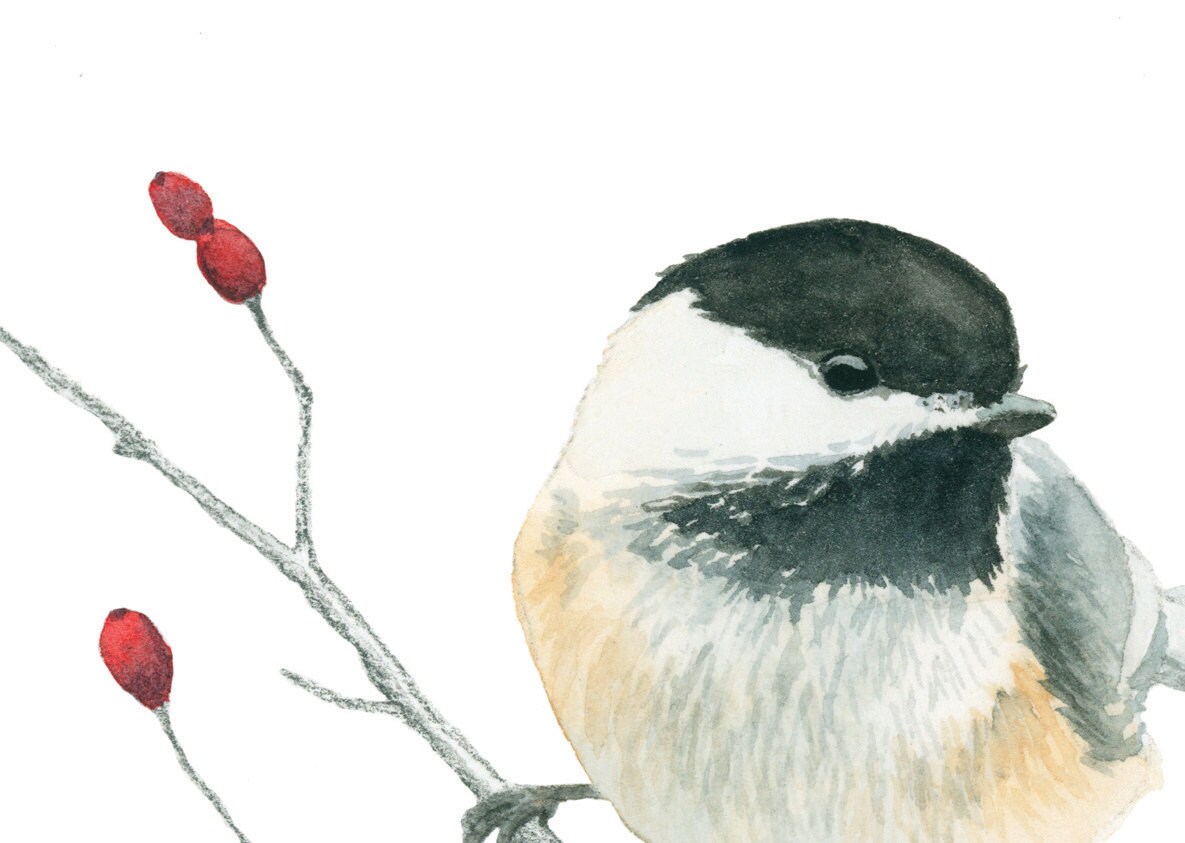 Blackcapped Chickadee Watercolor Print Etsy
