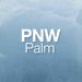 PacificNorthwestPalm