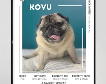 May include: A framed poster featuring a pug named Kovu. The poster includes the dog's name, breed, birthdate, favorite toy, and food. The pug is tan with a black muzzle and is sitting on a white surface.