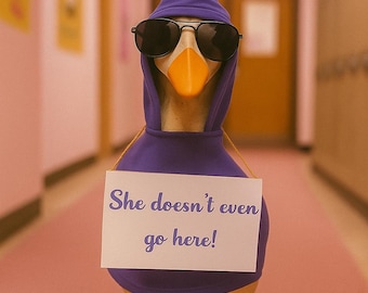 She doesn't even go here mean girls goose outfit