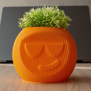 May include: An orange, spherical planter with a ridged surface, holding a small, green plant. The planter has a carved face design. The plant has small, light green leaves. The planter is sitting on a wooden surface.
