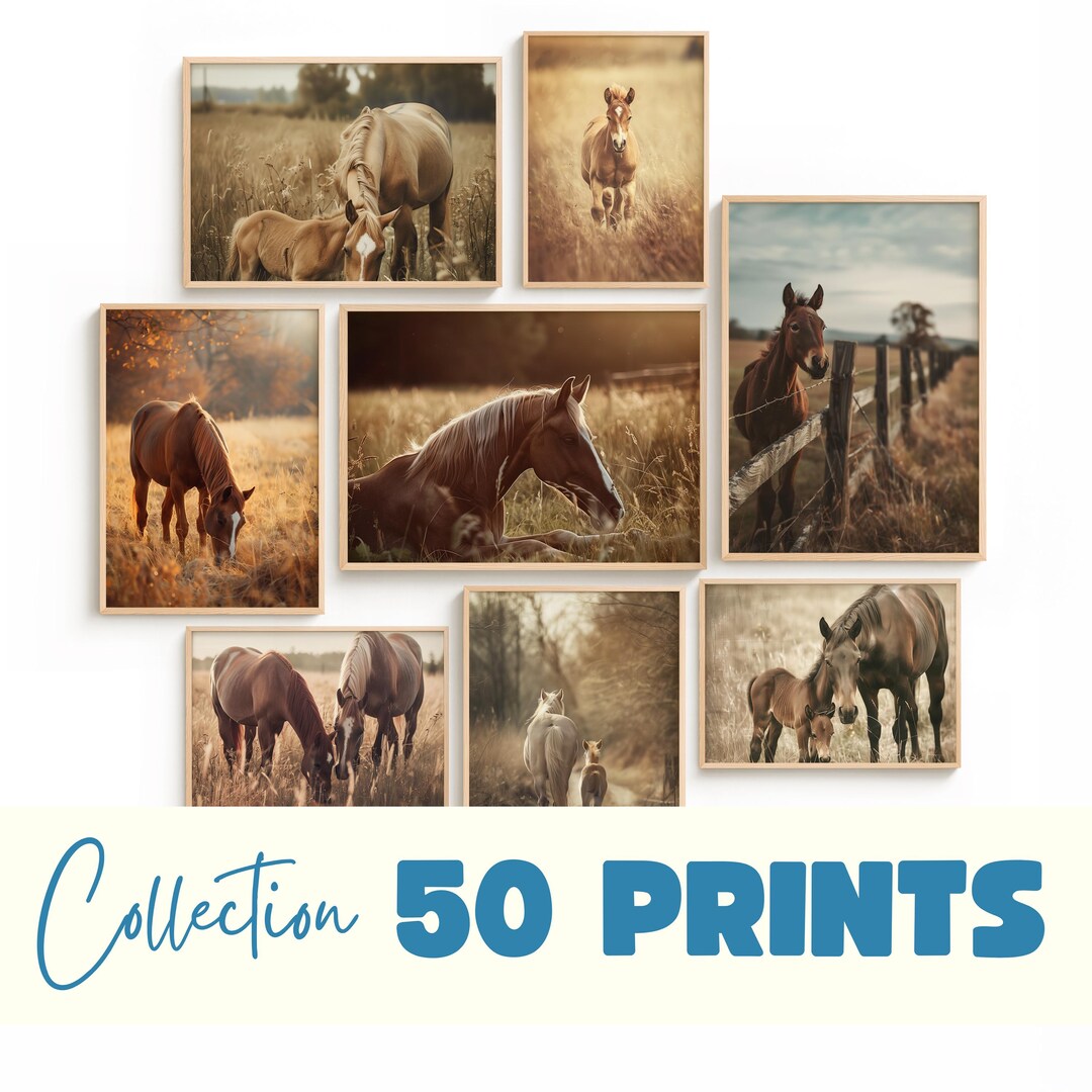 Horse Painting Set of 50, Vintage Equestrian Farmhouse Printable Wall ...